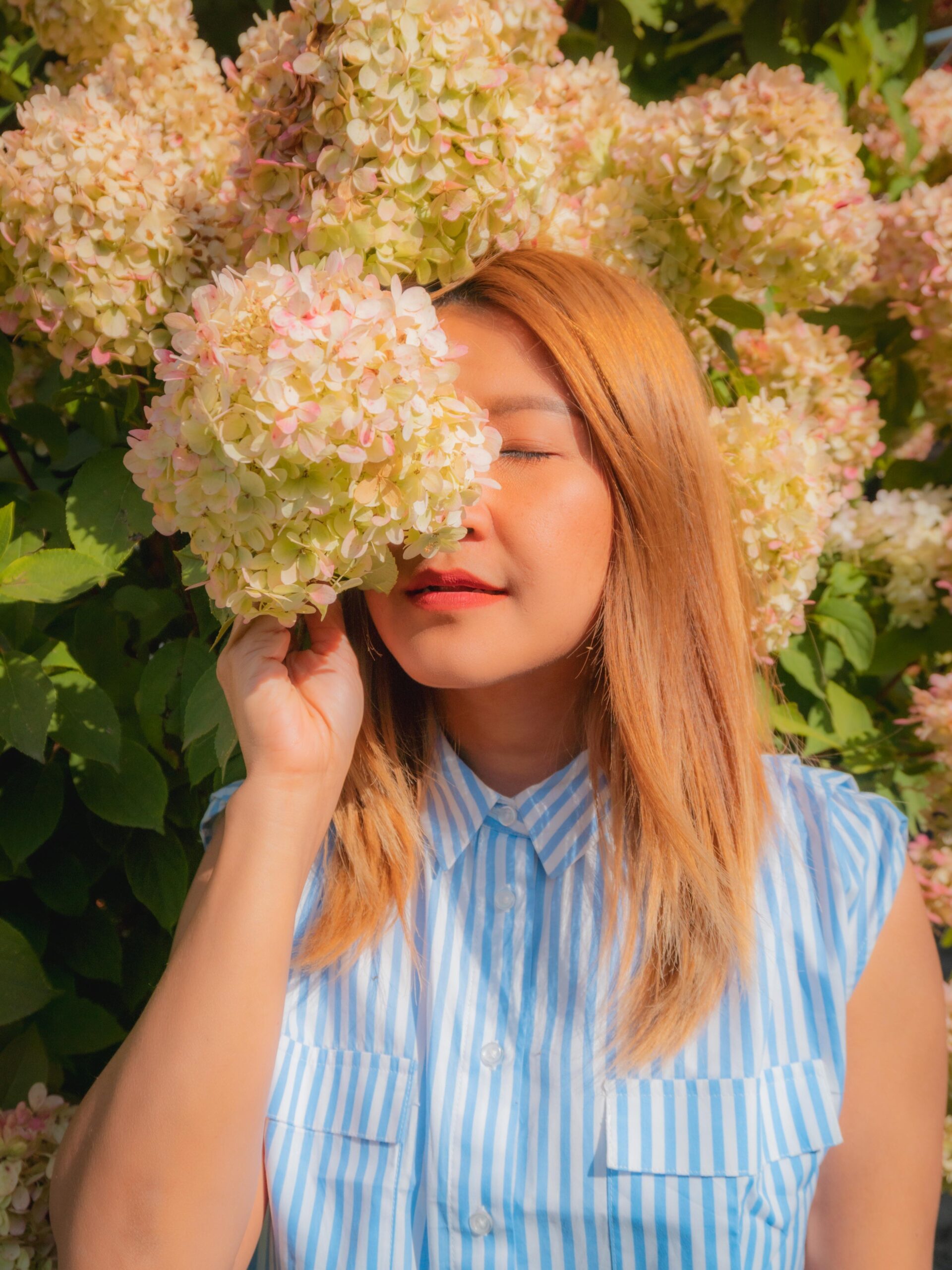 A serene portrait captured by Jan Schick Photography, featuring a woman surrounded by blooming hydrangeas. The soft colors and natural light enhance the peaceful and intimate mood of the photograph, reflecting a harmonious connection with nature.Ein ruhiges Porträt, aufgenommen von Jan Schick Photography, zeigt eine Frau, umgeben von blühenden Hortensien. Die sanften Farben und das natürliche Licht unterstreichen die friedliche und intime Stimmung des Fotos, die eine harmonische Verbindung zur Natur widerspiegelt.