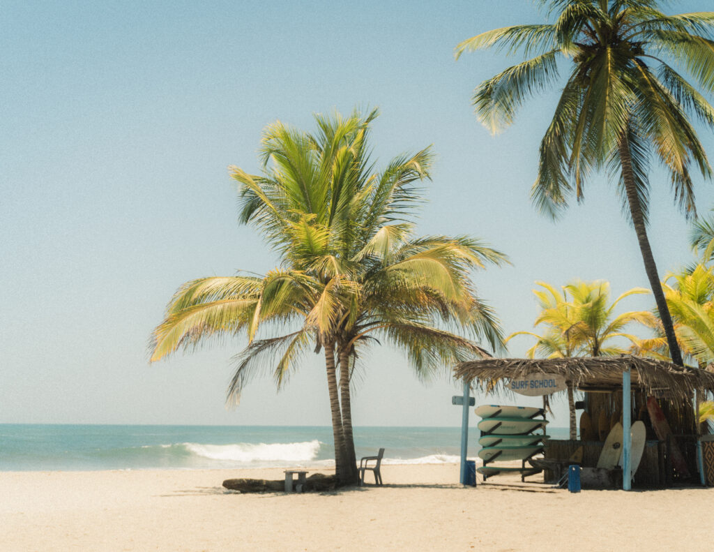 A serene view of palm trees framing the beach in Tayrona National Park, a perfect setting for an elopement. Ein ruhiger Blick auf Palmen, die den Strand im Tayrona-Nationalpark umrahmen - der perfekte Ort für ein Elopement.