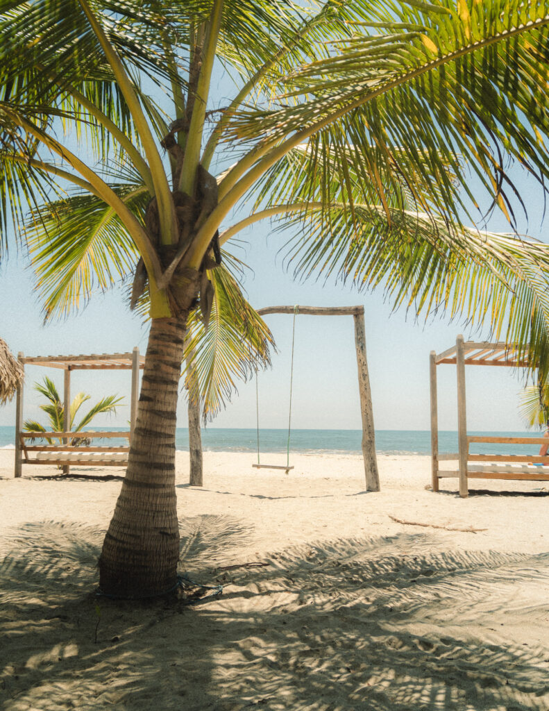 A tranquil swing beneath the palm trees overlooking the ocean in Tayrona National Park, offering a dreamy tropical vibe. Eine ruhige Schaukel unter Palmen mit Blick auf den Ozean im Tayrona-Nationalpark, die ein traumhaft tropisches Ambiente bietet.